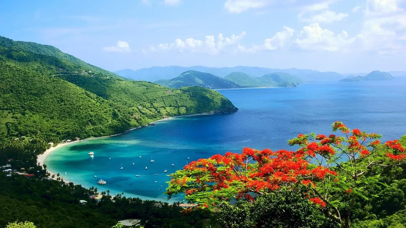 高效全自动智慧工厂